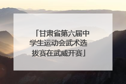 甘肃省第六届中学生运动会武术选拔赛在武威开赛