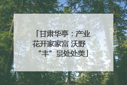 甘肃华亭：产业花开家家富 沃野“丰”景处处美