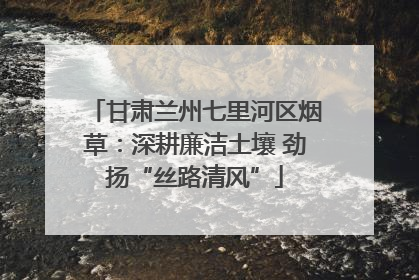 甘肃兰州七里河区烟草：深耕廉洁土壤 劲扬“丝路清风”