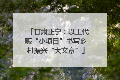 甘肃正宁：以工代赈“小项目”书写乡村振兴“大文章”