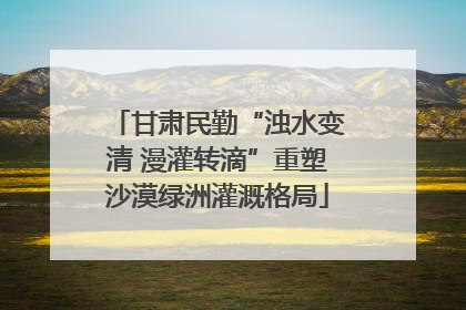 甘肃民勤“浊水变清 漫灌转滴”重塑沙漠绿洲灌溉格局