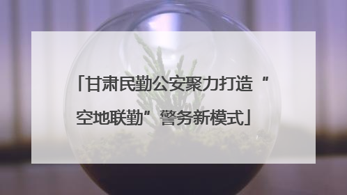 甘肃民勤公安聚力打造“空地联勤”警务新模式