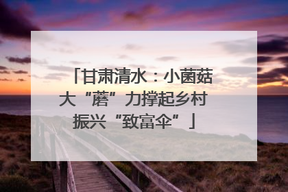 甘肃清水：小菌菇大“蘑”力撑起乡村振兴“致富伞”