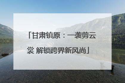 甘肃镇原：一袭剪云裳 解锁跨界新风尚