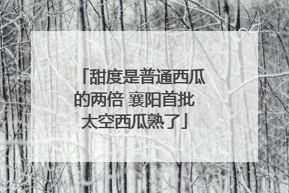 甜度是普通西瓜的两倍 襄阳首批太空西瓜熟了