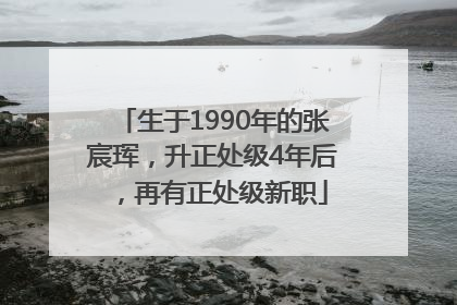 生于1990年的张宸珲，升正处级4年后，再有正处级新职