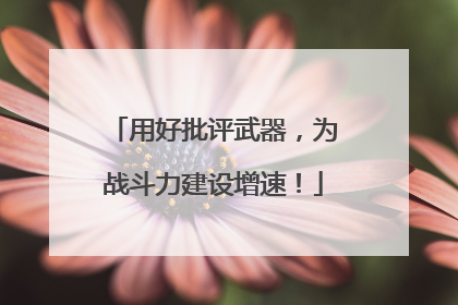 用好批评武器，为战斗力建设增速！