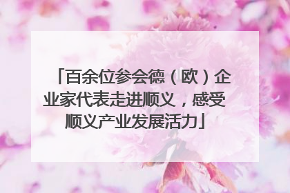百余位参会德（欧）企业家代表走进顺义，感受顺义产业发展活力