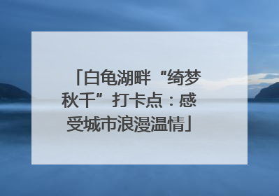 白龟湖畔“绮梦秋千”打卡点：感受城市浪漫温情