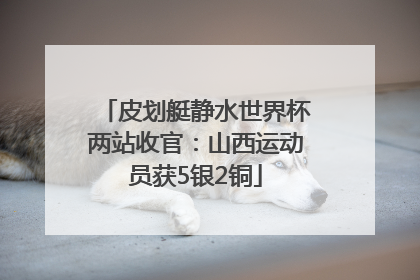 皮划艇静水世界杯两站收官：山西运动员获5银2铜
