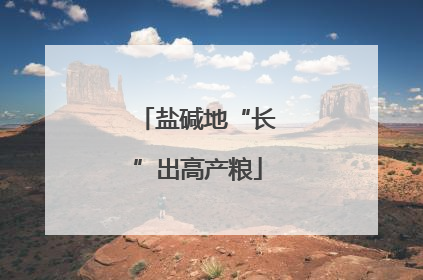 盐碱地“长”出高产粮