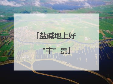 盐碱地上好“丰”景