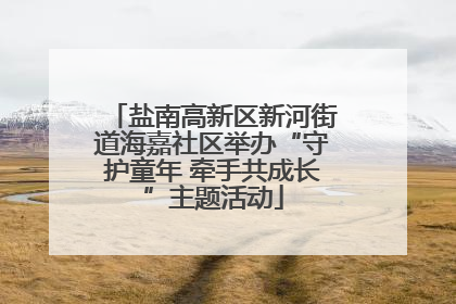 盐南高新区新河街道海嘉社区举办“守护童年 牵手共成长”主题活动