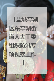 盐城亭湖区东亭湖街道人大工委组织防汛专项视察工作