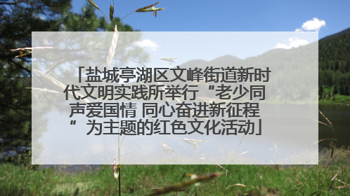 盐城亭湖区文峰街道新时代文明实践所举行“老少同声爱国情 同心奋进新征程”为主题的红色文化活动