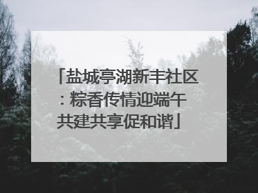 盐城亭湖新丰社区：粽香传情迎端午 共建共享促和谐