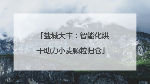 盐城大丰：智能化烘干助力小麦颗粒归仓