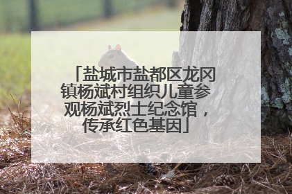 盐城市盐都区龙冈镇杨斌村组织儿童参观杨斌烈士纪念馆，传承红色基因