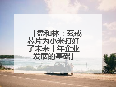 盘和林：玄戒芯片为小米打好了未来十年企业发展的基础