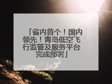 省内首个！国内领先！青岛低空飞行监管及服务平台完成部署