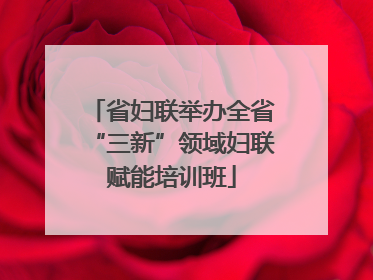 省妇联举办全省“三新”领域妇联赋能培训班