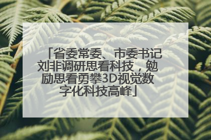 省委常委、市委书记刘非调研思看科技，勉励思看勇攀3D视觉数字化科技高峰