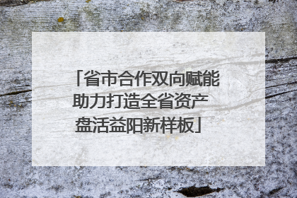 省市合作双向赋能 助力打造全省资产盘活益阳新样板