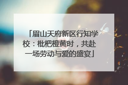 眉山天府新区行知学校：枇杷橙黄时，共赴一场劳动与爱的盛宴