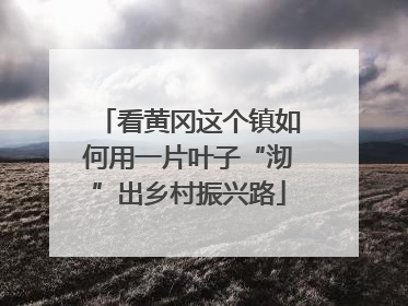 看黄冈这个镇如何用一片叶子“沏”出乡村振兴路