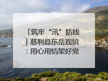 筑牢“汛”防线｜慈利县东岳观镇：用心用情架好党群温暖悠长的“连心桥”