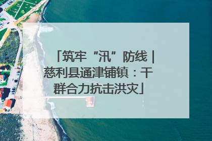 筑牢“汛”防线｜慈利县通津铺镇：干群合力抗击洪灾