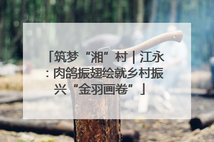 筑梦“湘”村｜江永：肉鸽振翅绘就乡村振兴“金羽画卷”
