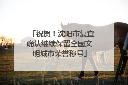 祝贺！沈阳市复查确认继续保留全国文明城市荣誉称号