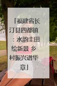 福建省长汀县四都镇：水韵圭田绘新景 乡村振兴谱华章