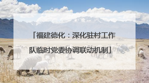 福建德化：深化驻村工作队临时党委协调联动机制