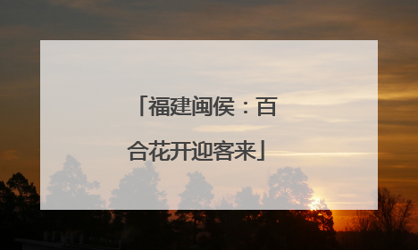 福建闽侯：百合花开迎客来