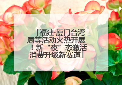 福建·厦门台湾周等活动火热开展！新“夜”态激活消费升级新赛道