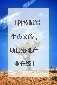 科技赋能生态文旅，项目落地产业升级