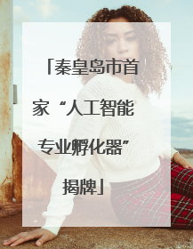 秦皇岛市首家“人工智能专业孵化器”揭牌