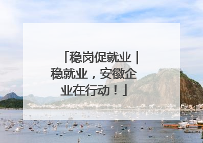 稳岗促就业｜稳就业，安徽企业在行动！
