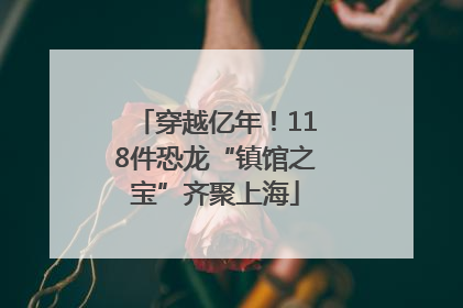 穿越亿年！118件恐龙“镇馆之宝”齐聚上海