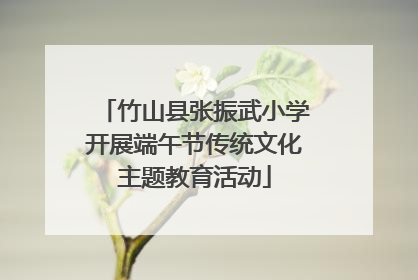 竹山县张振武小学开展端午节传统文化主题教育活动