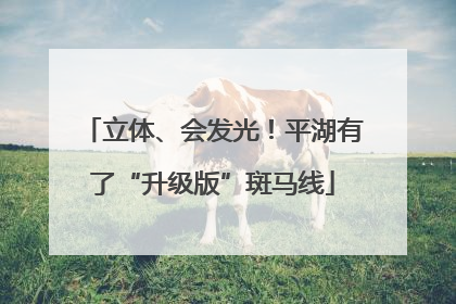 立体、会发光！平湖有了“升级版”斑马线