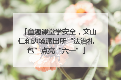 童趣课堂学安全，文山仁和边境派出所“法治礼包”点亮“六一”