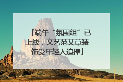 端午“氛围组”已上线，文艺范艾草装饰受年轻人追捧