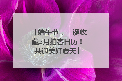 端午节，一键收藏5月拍客日历！共迎美好夏天