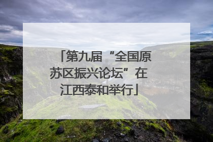 第九届“全国原苏区振兴论坛”在江西泰和举行