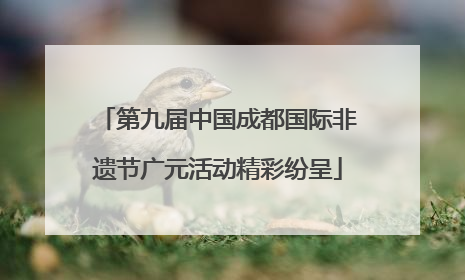 第九届中国成都国际非遗节广元活动精彩纷呈