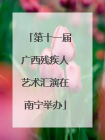 第十一届广西残疾人艺术汇演在南宁举办