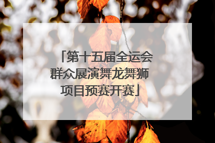 第十五届全运会群众展演舞龙舞狮项目预赛开赛